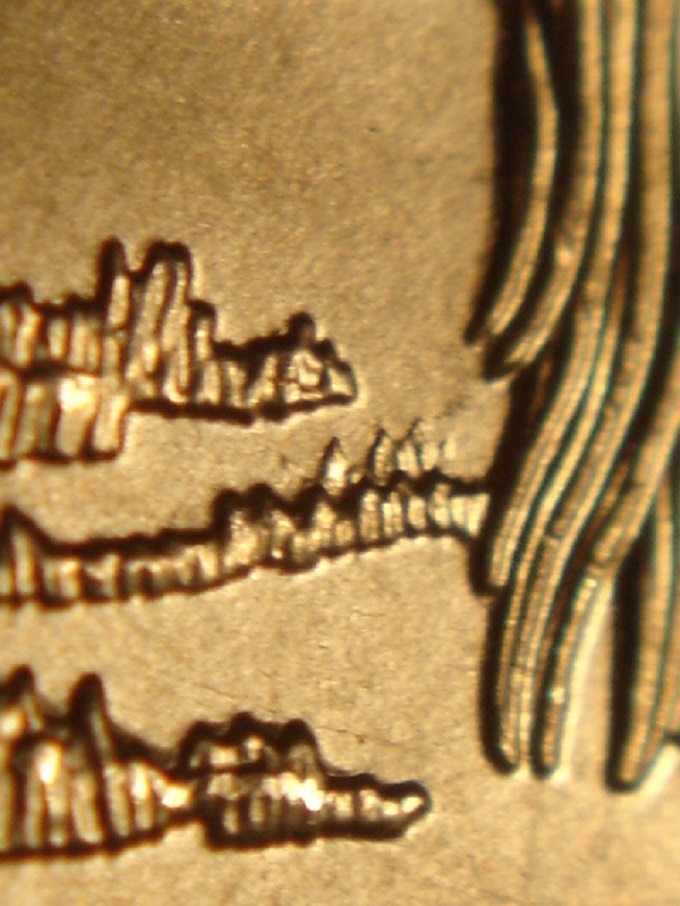 2015-P-De-Bombay-Hook--Coneca-DDR-004